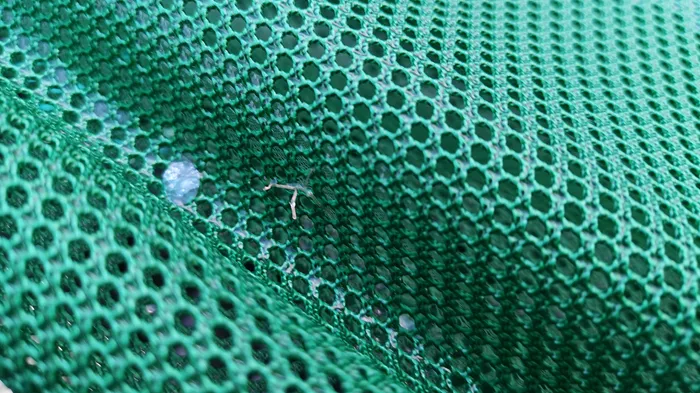 catchlice1